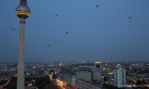 Berlin_Fernsehturm_Himmel_Voegel