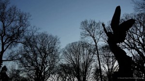 MIN 91 Greenwood-Cemetery