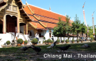 MIN_111 Pigeons_Thailand_s