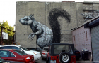 MIN_Week 63 Bkln Street Art_squirrel_s