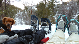 snowshoes