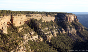 MIN_201 Mesa Verde_Navajo Canyon_s