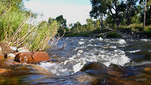 MIN_225 Poudre River Swim_waterfall_s