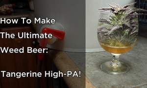 MIN 264_Weed Beer_title_s