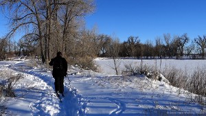 MIN 301_Cross_Country Ski_s