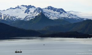 Kenai Peninsula_Alaska_MIN 320_13_s
