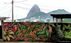Rio Street Art_MIN 328_02_lion_s