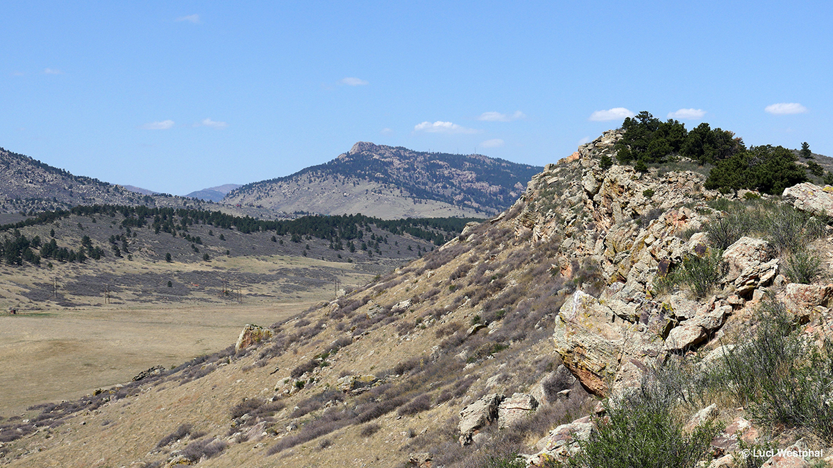 Coyote Ridge_MIN 363_01_s