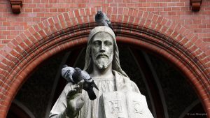Pigeons_Min 362_01_s